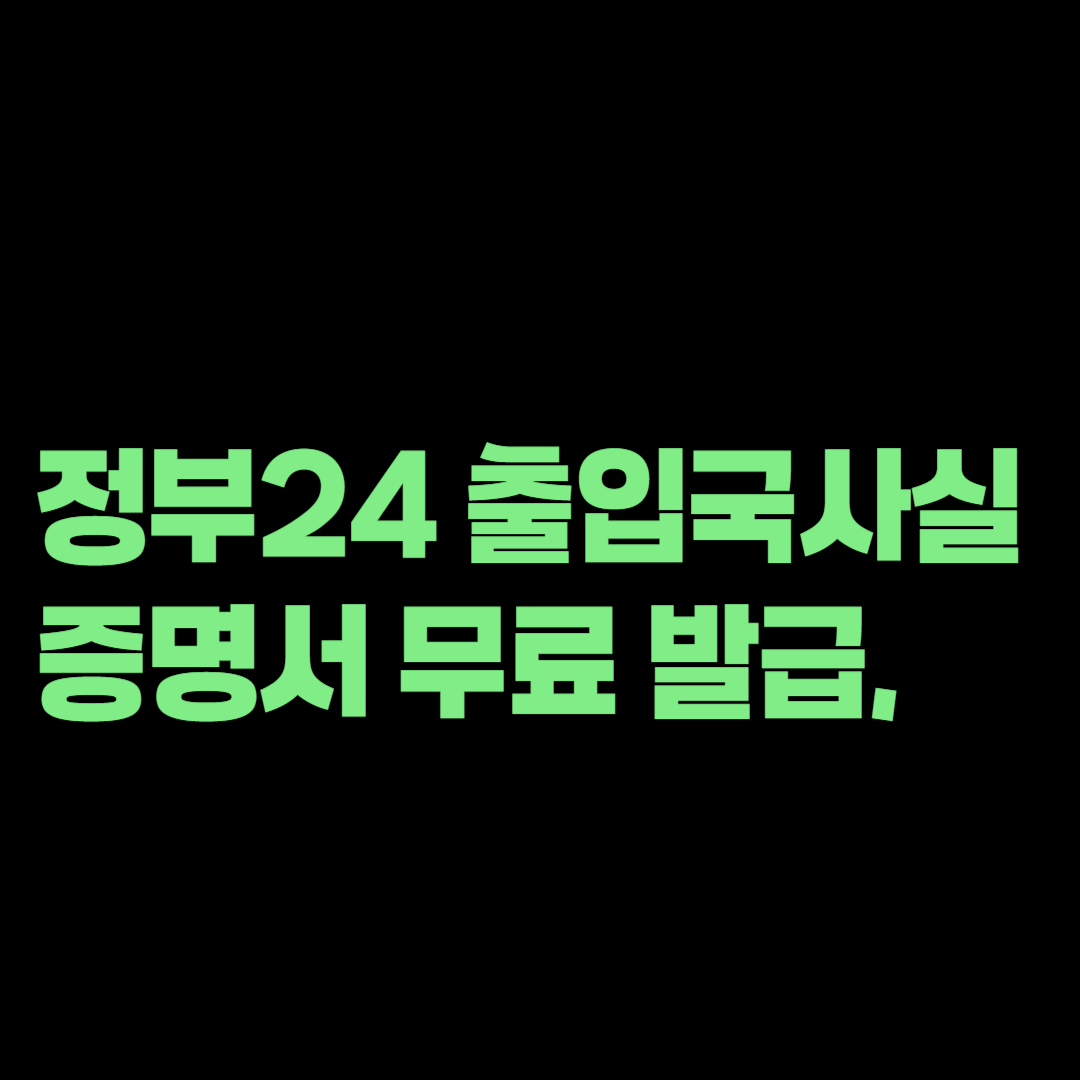 정부24 출입국사실증명서 무료 발급, 기록대조일 입력 방법